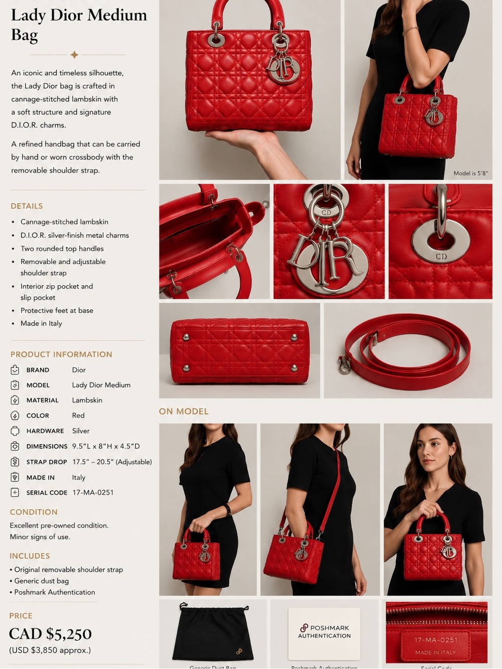 #R28 The Lady Dior in Vivid Red, Medium Size Tote Bag